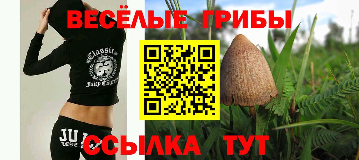 Кизилюрт  Псилоцибиновые грибы мицелий  Вход с VPN 