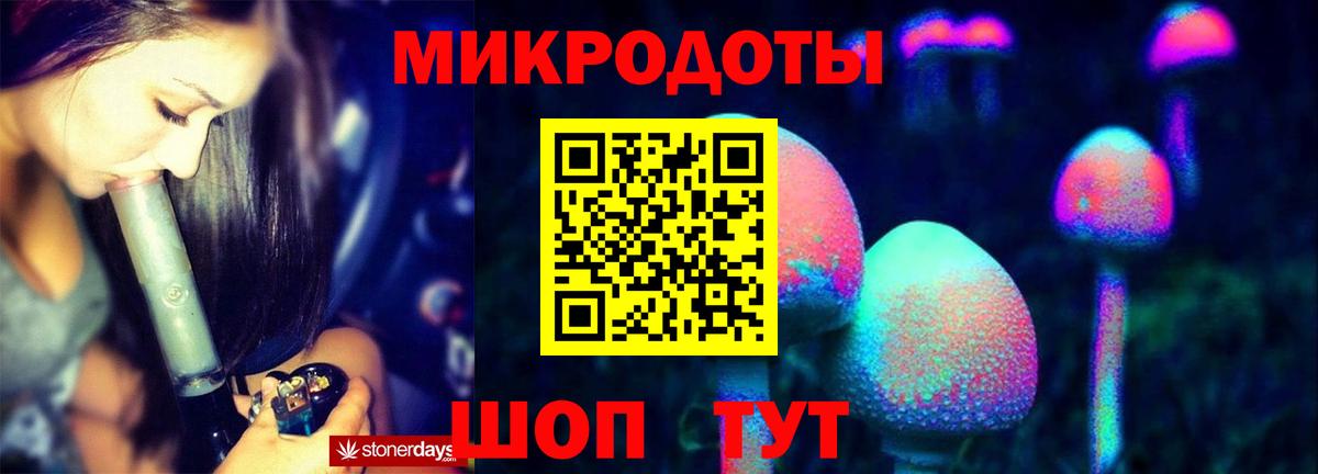 Псилоцибиновые грибы Psilocybe Кизилюрт